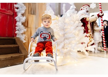 22.12.2019 Новогоднее представление для детей в Тюменском Цирке